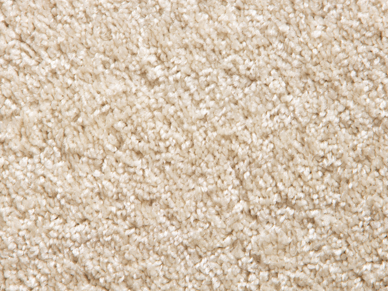 10' Advantage XL | Cream | 50 oz. |
Quick Ship Program 