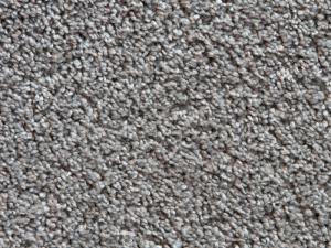 10' XL Carpet | 50 oz